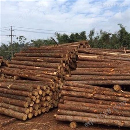 绿化杉木桩尺寸 胜洁木业 杉木桩图片