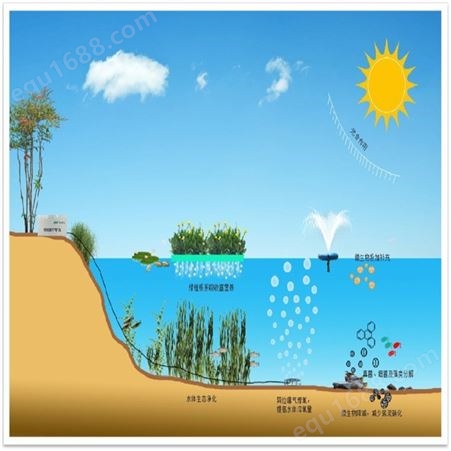 博润达致力于 水体生态修复 河湖水生态修复 水环境治理