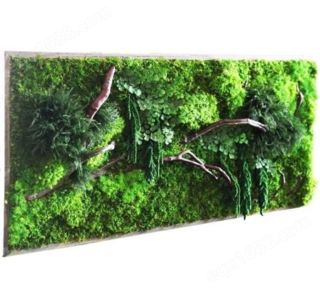 西安室内绿植墙 仿真植物墙制作 室内外绿植 寿命长 有观赏性