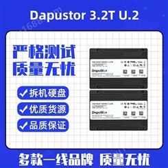 Dapustor/大普微 3.2T企业级U.2固态硬盘