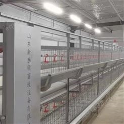 实验笼具 自动清粪兔笼 简易欧式兔子笼 新胜顺厂家供应 现货充足