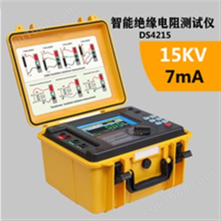 DS4215-15KV智能高压绝缘电阻测试仪