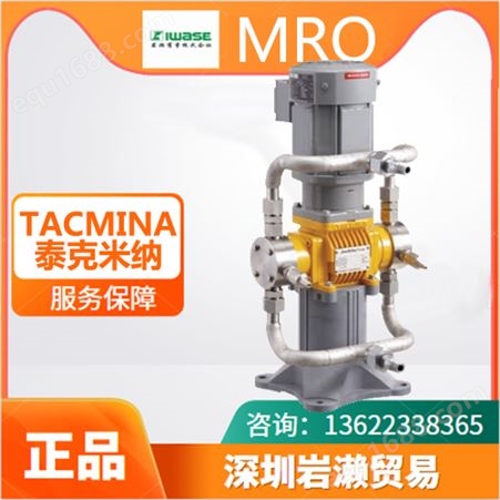 【岩濑】泰克米纳PL-0005柱塞隔膜计量泵 进口TACMINA气动隔膜泵