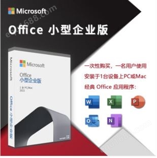 office/office2021/office2021企业版/office2021小型企业版