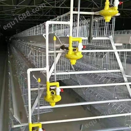 阶梯式蛋鸡笼老棚改造 自动化养殖设备 操作简单