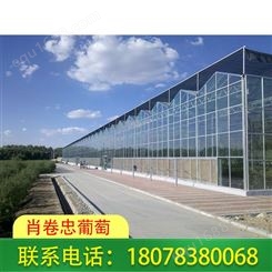 广西桂林农业养殖大棚搭建质量好价格低
