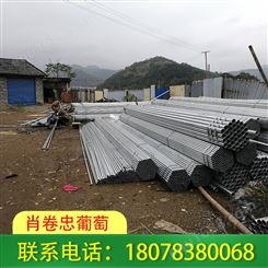 灵川钢管蔬菜大棚搭建案例遍布桂林市区