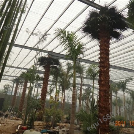 室内外大型仿真棕榈树效果美观自然大小天骄园林假树可设计制做