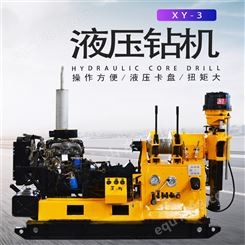 XY-3地质勘探钻机 取样岩石取芯设备300米打井机器300型探矿机器