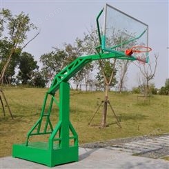 加粗户外学校篮球架 运动器材运动大升降球架 规格多样
