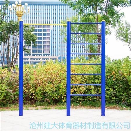 沧州建大体育 肋木单杠 公园学校广场小区健身路径 生产厂家现货供应