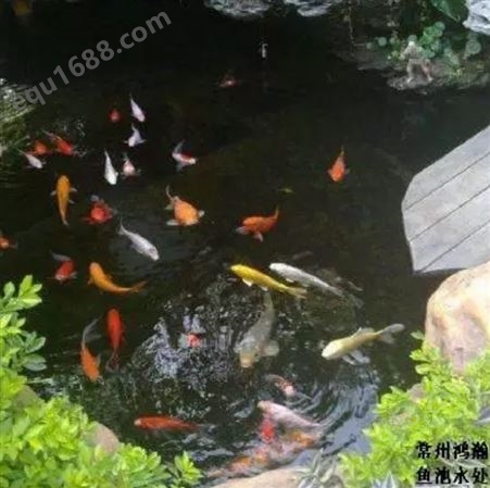 上海市锦鲤鱼池紫外线杀菌、循环水泵供应。