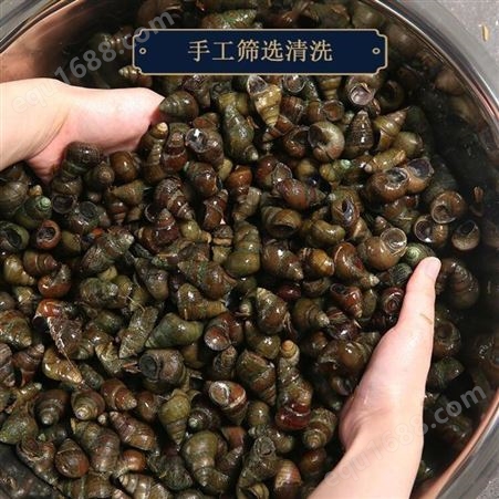 现捞石螺鲜活田螺活的新鲜清水螺蛳肉活体石螺肉干净无沙混装螺蛳4斤