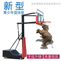 鑫龙泰儿童篮球架,升降篮球架,篮球架,幼儿园篮球架,移动篮球架