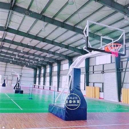 龙泰 电动液压篮球架 学校单位公司比赛用电动升降篮球架 液压升降篮球架