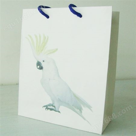 白卡折叠创意纸袋定制logo服装广告购物彩色礼品手提包装袋印刷