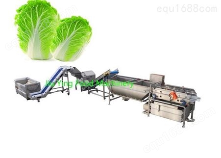 广州九盈蔬菜加工生产线 沙拉菜清洗线 洗菜机厂家 可定制