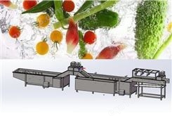 广州九盈蔬菜加工生产线 沙拉菜清洗线 洗菜机厂家 可定制