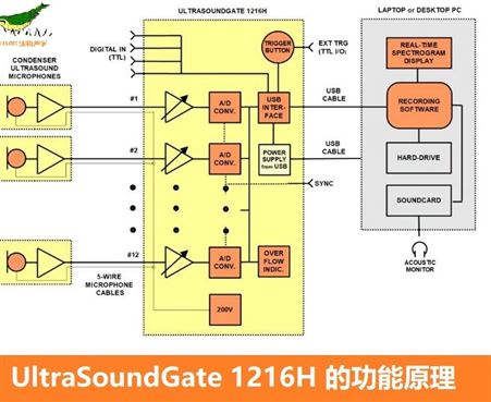 超声波录音系统UltraSoundGate 1216H